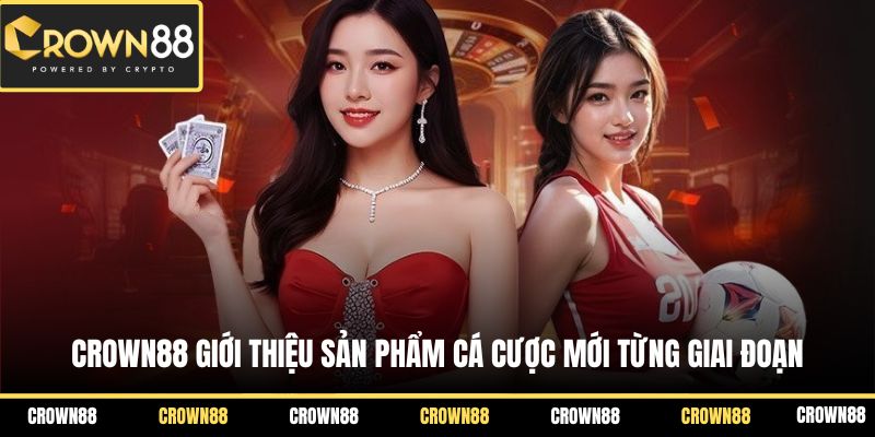 Crown88 giới thiệu sản phẩm cá cược mới từng giai đoạn