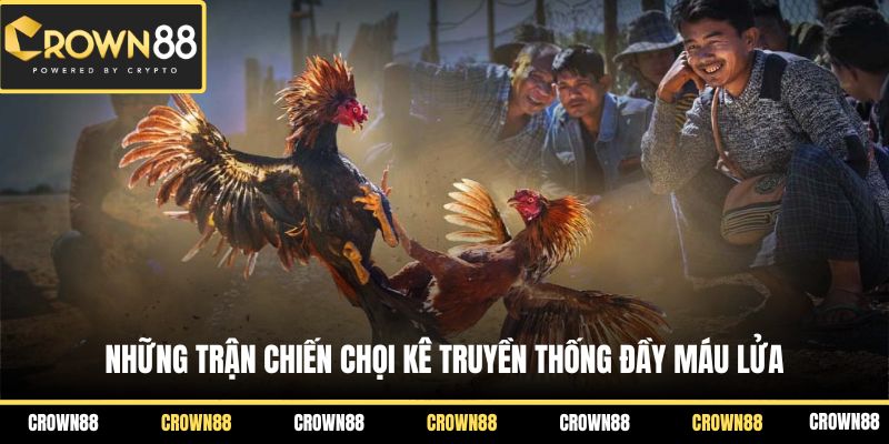 Đá Gà Crown88 2 Những trận chiến chọi kê truyền thống đầy máu lửa