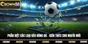 phan biet cac loai keo bong da kien thuc cho nguoi moi